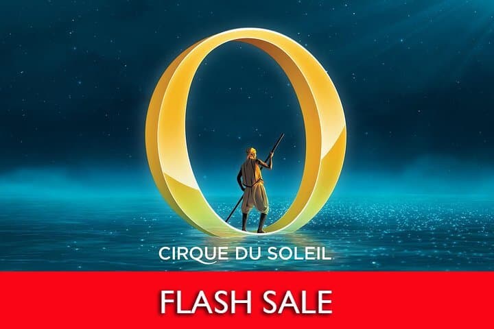 Cirque du Soleil Show