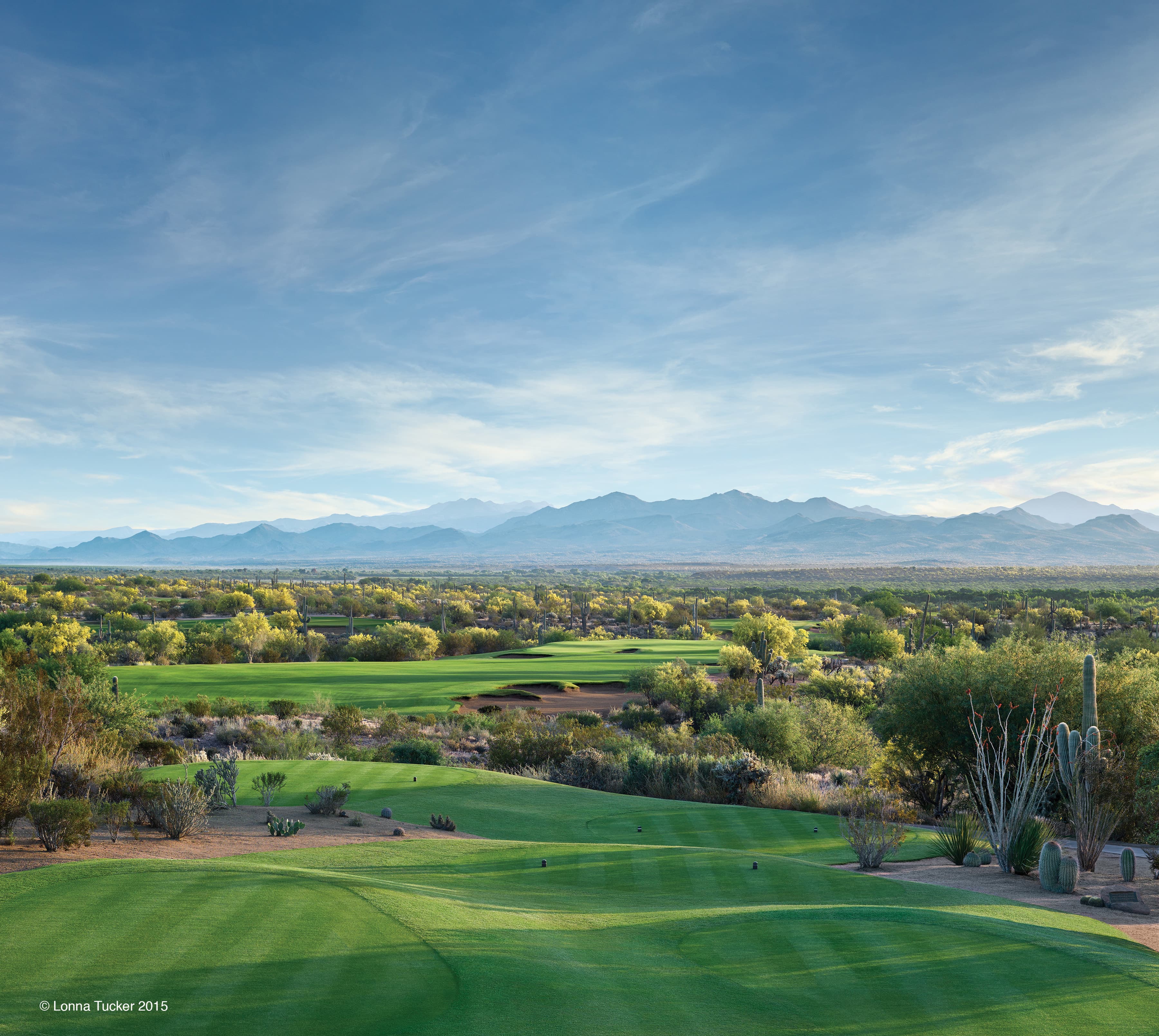 We-Ko-Pa Golf Club — Saguaro Course