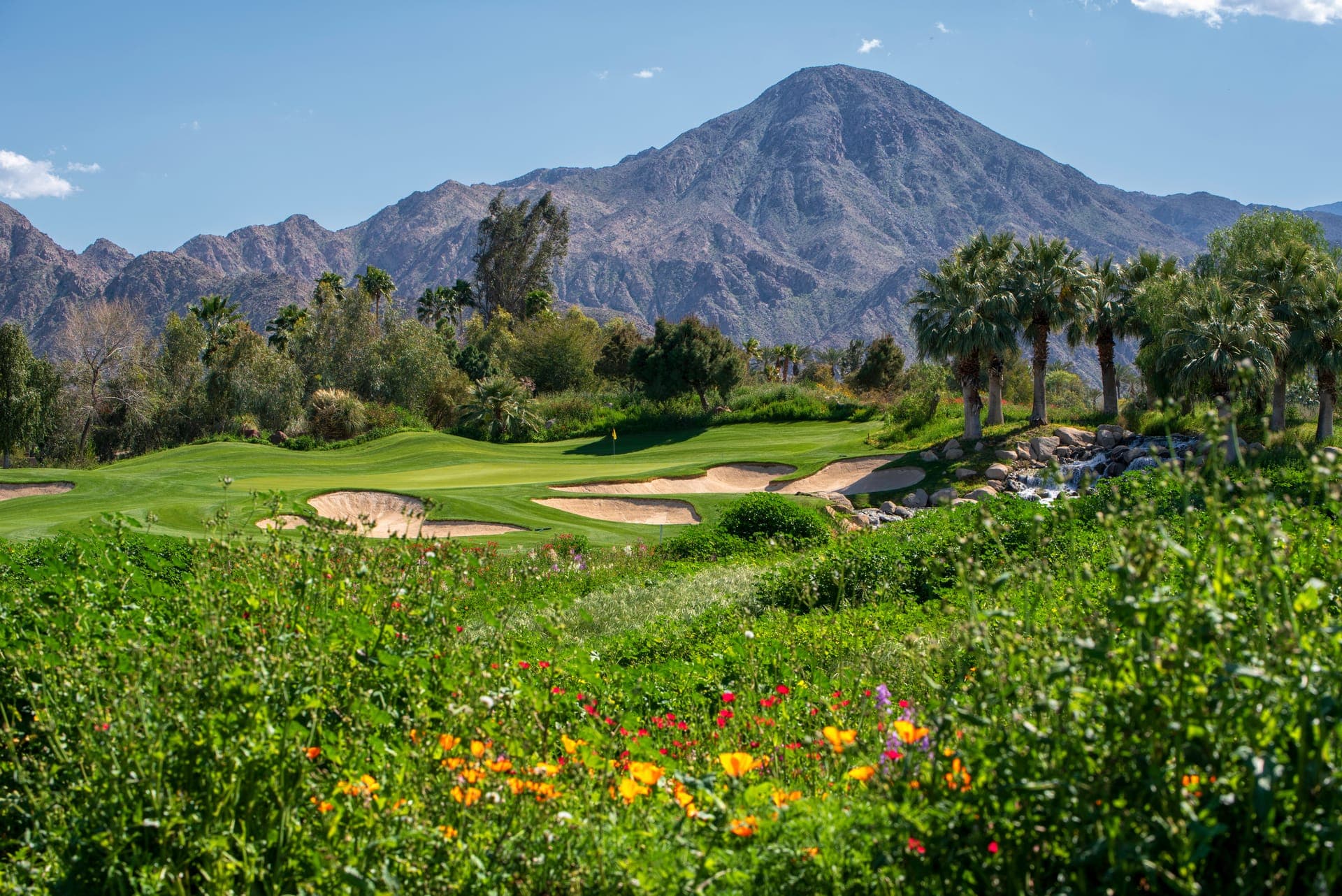Palm Springs landscape