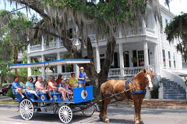 Beaufort Horse-Drawn Carriage Tour