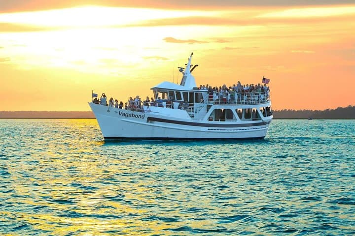 Dolphin Watching Cruise (Sunset)