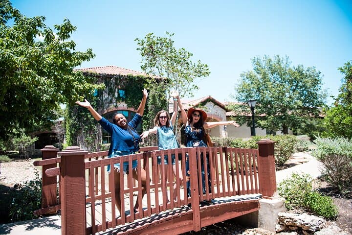 Hill Country Wine Tour