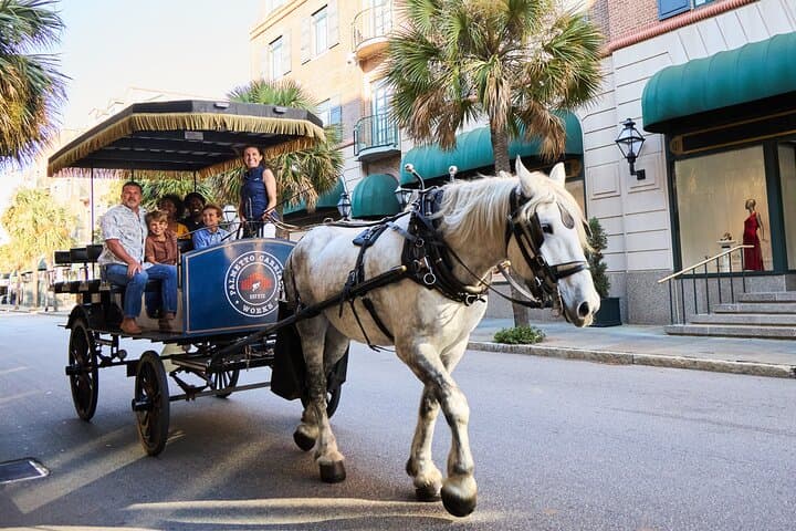 Horse-Drawn Carriage Tour