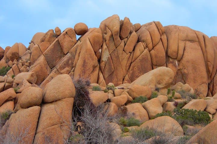 Joshua Tree National Park Guided Tour